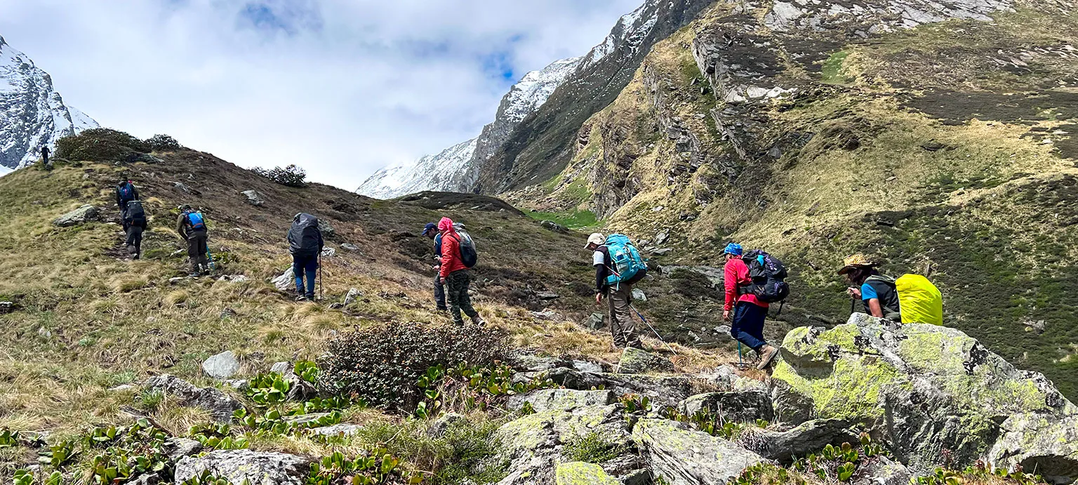 Bali Pass Trek